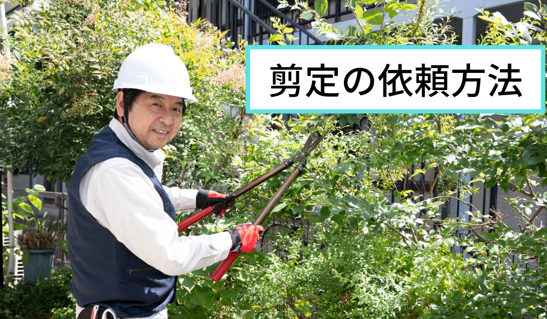庭木の剪定依頼方法は？失敗しない業者選びのポイント7選 - 香川県高松 