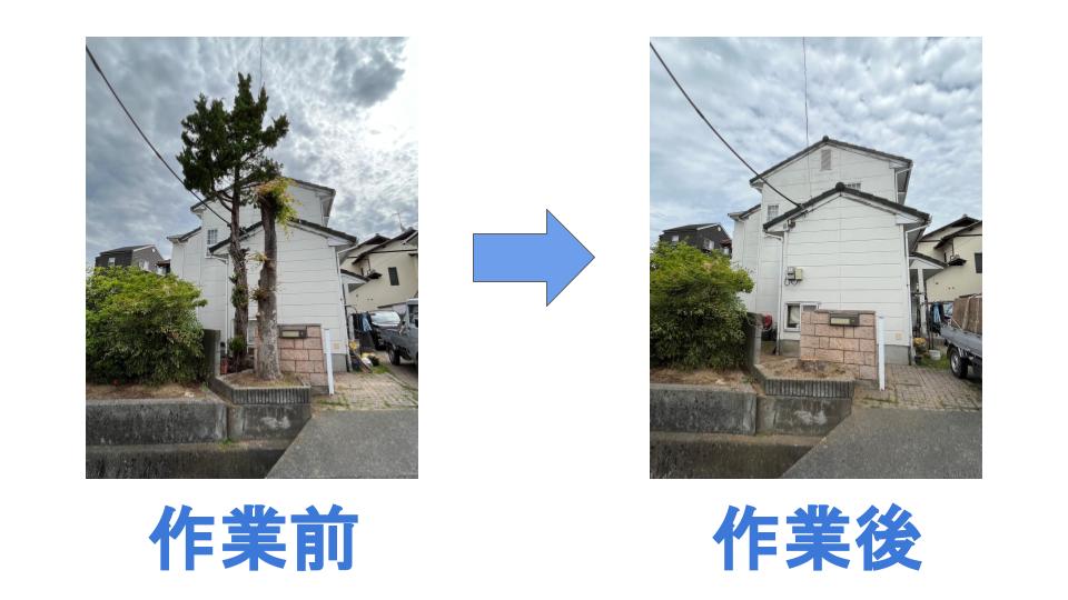 0_TT_0様② 揺さぶっ