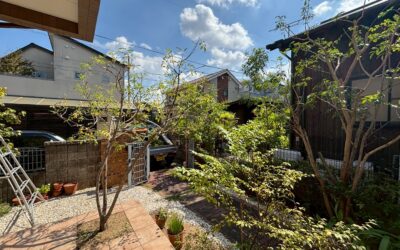 【香川県高松市伏石町】庭木剪定で明るいお庭に｜ビフォーアフターで見る旭宝園の施工事例